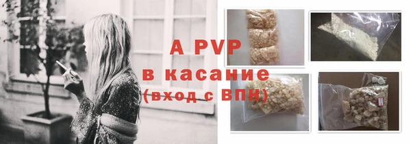 твердый Аркадак