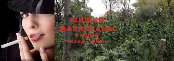 соль курить ск Алзамай